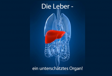 Leber 795x530