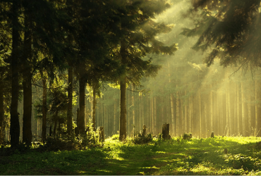leben-arbeiten-natur