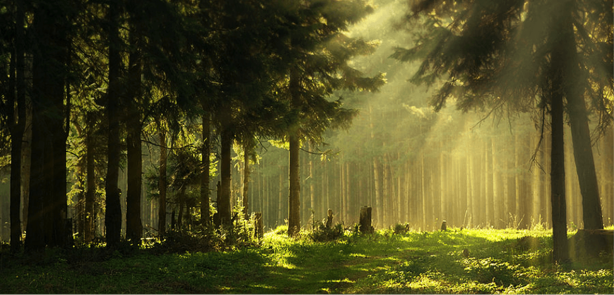 leben-arbeiten-natur