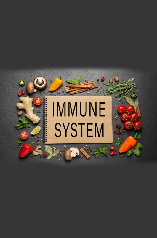 Immunkraft 8 x 100ml Sonnenmoor – Bild 2